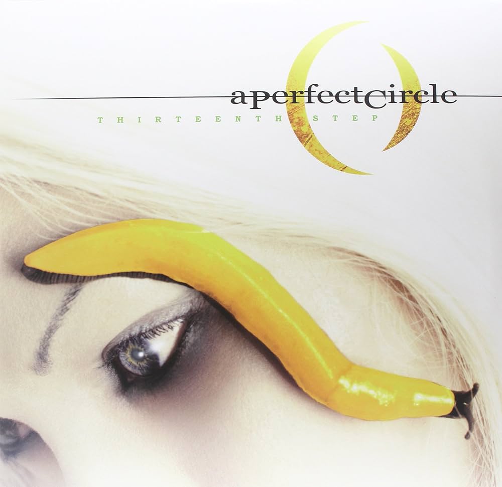 A Perfect Circle - Thirteenth Step [2xLP]