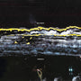 Gilla Band - Pugnello [LP - Red/Black]