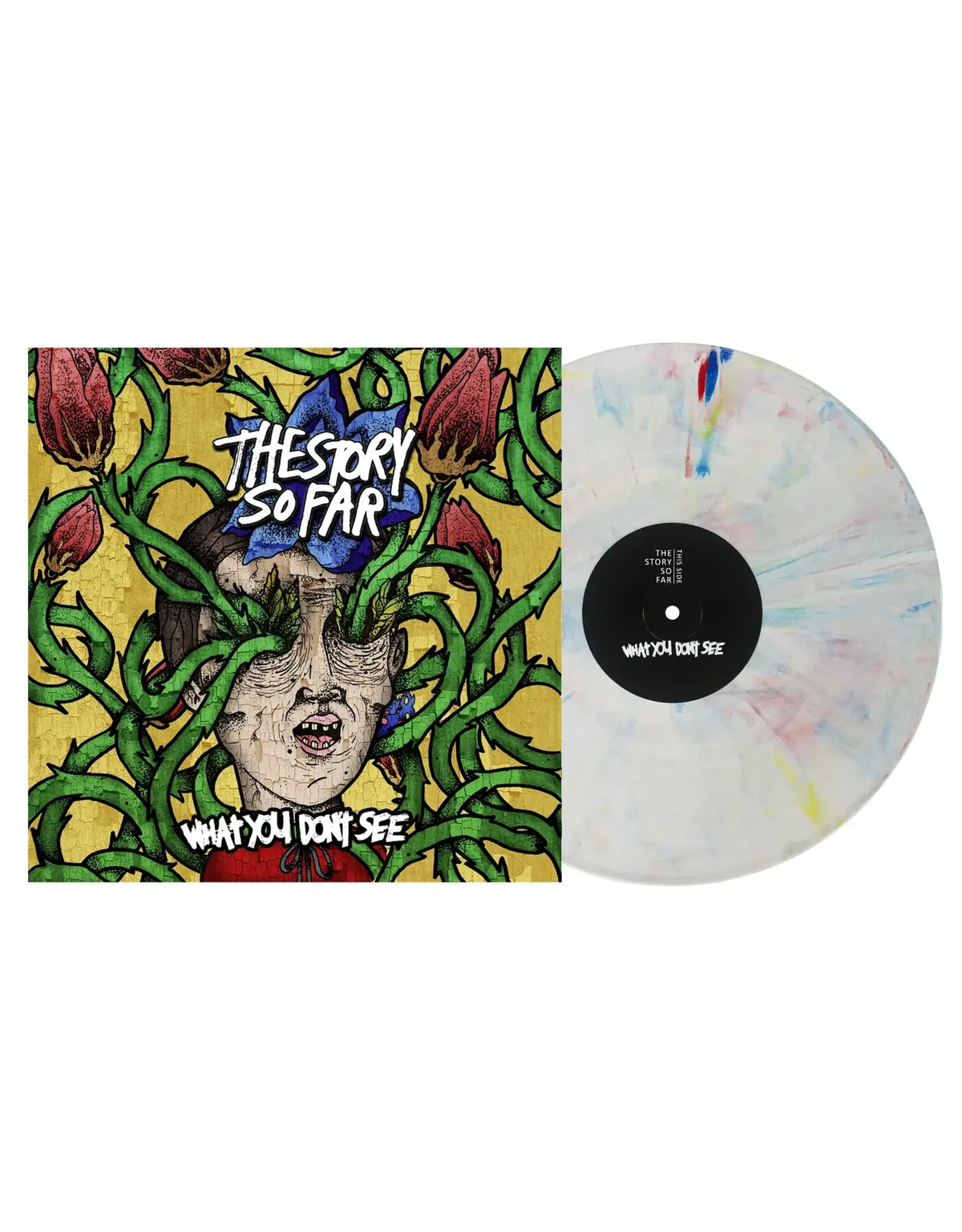 Story So Far, The - What You Don't See [LP - Marble]