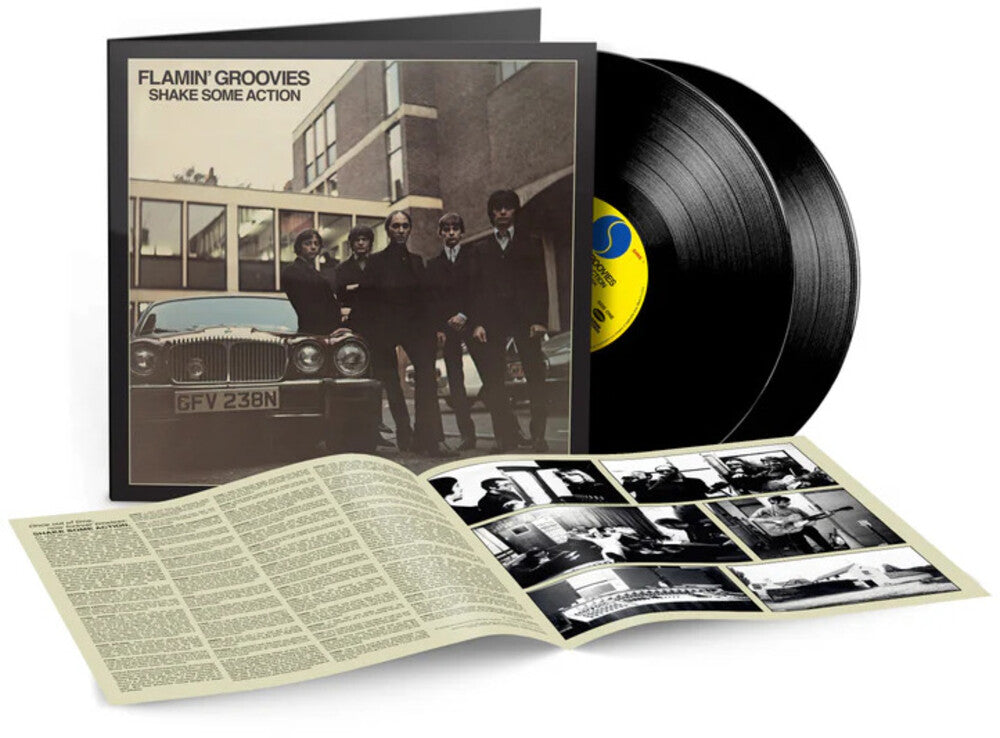 Flamin' Groovies - Shake Some Action [2xLP]