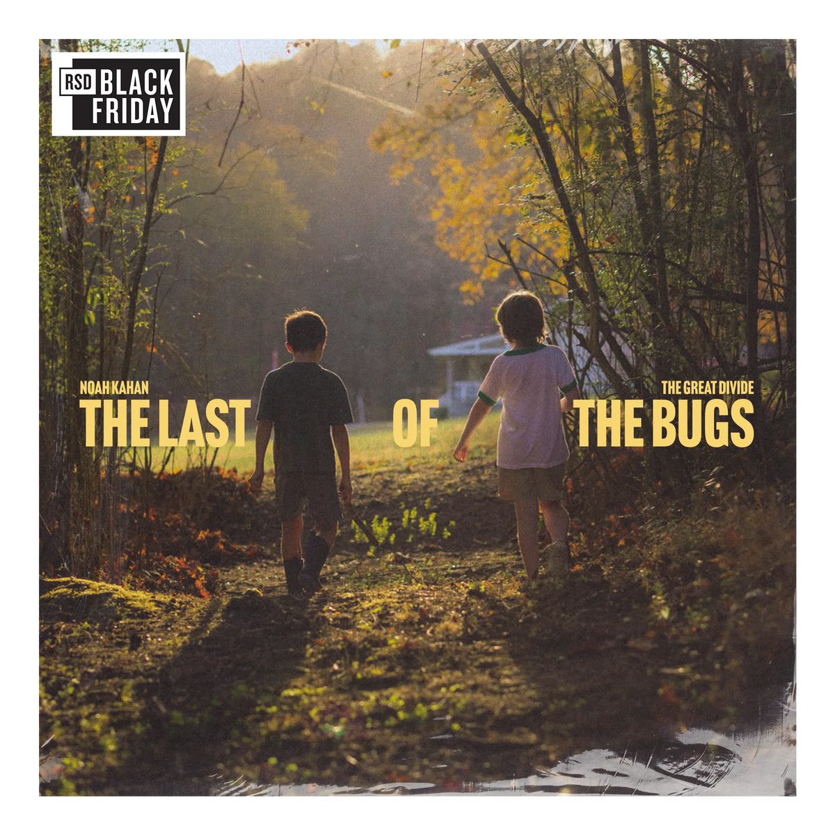 Noah Kahan - The Last of the Bugs [12"]