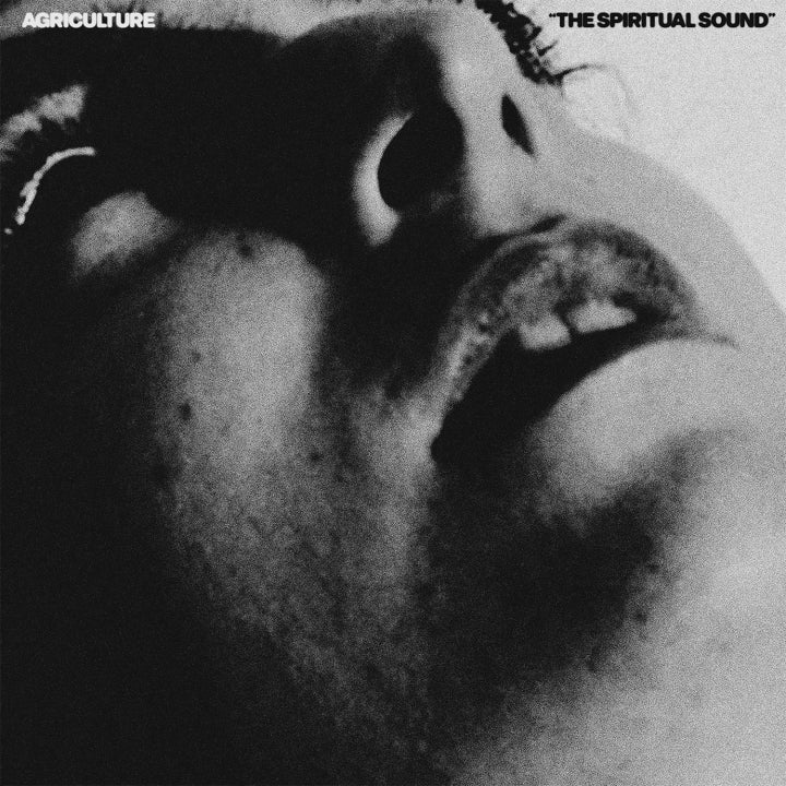 Agriculture - The Spiritual Sound [LP]