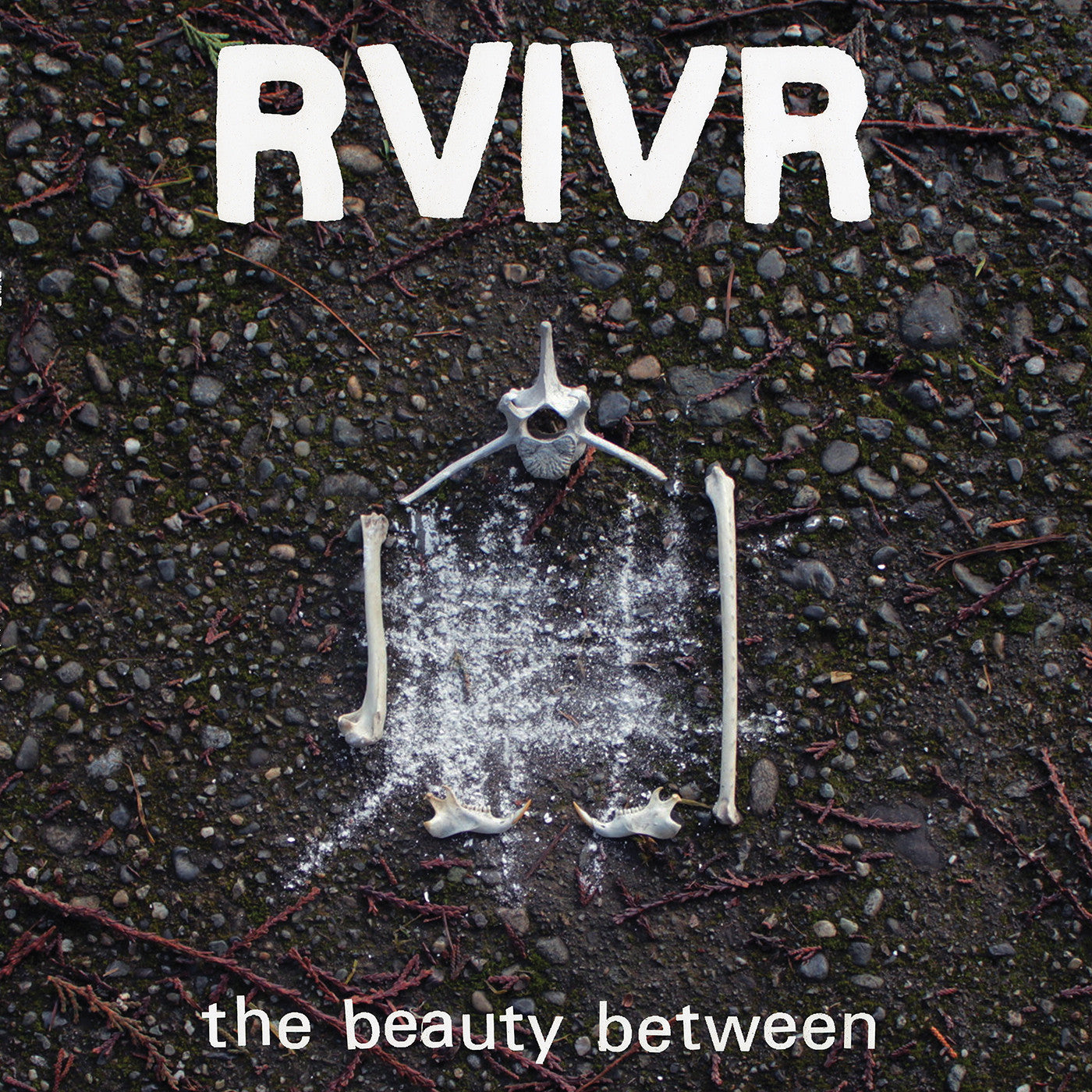 RVIVR - The Beauty Between [LP - Black/Clear]