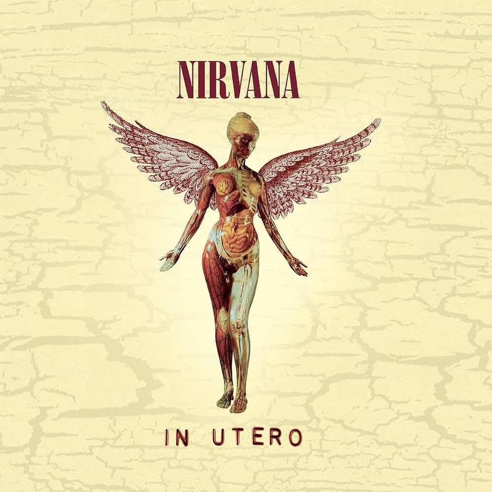 Nirvana - In Utero (20th Anniversary) [CD]