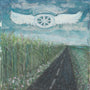 Squirrel Flower - Say A Prayer To The Gods Of Getting Going [CD]