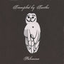 Trampled By Turtles - Palomino [LP]
