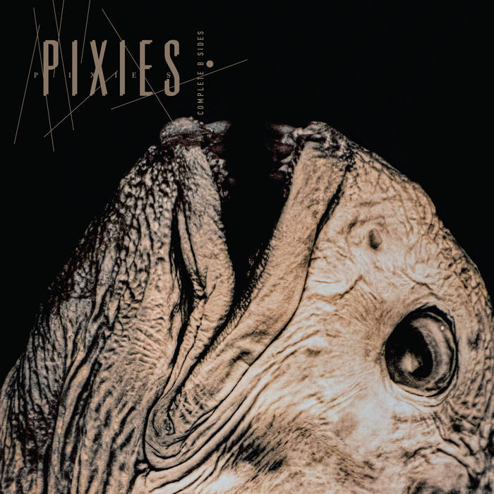 Pixies - Complete B Sides: 1988-97 [2xLP]