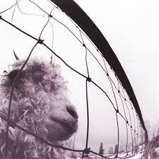 Pearl Jam - Vs. (30th Anniversary) [2xLP]