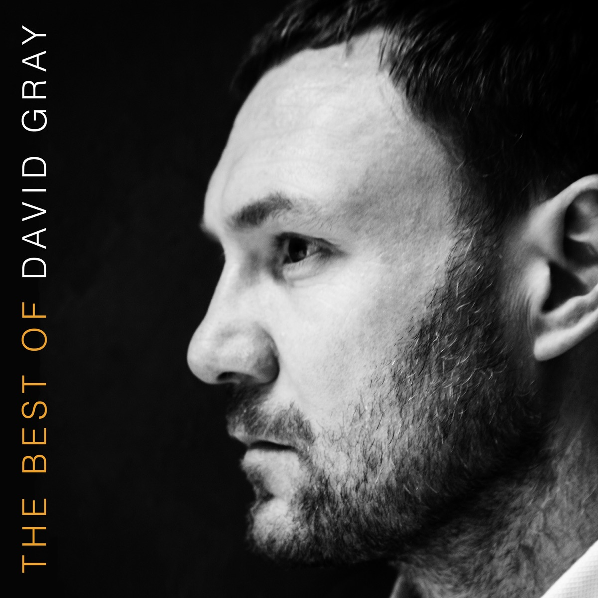 David Gray - The Best of David Gray [LP]
