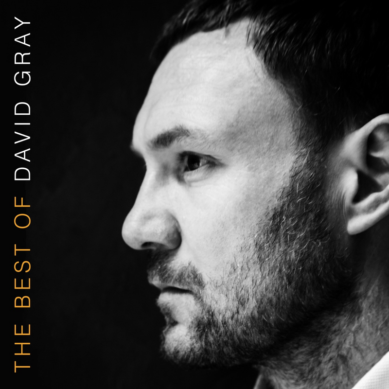 David Gray - The Best of David Gray [LP]