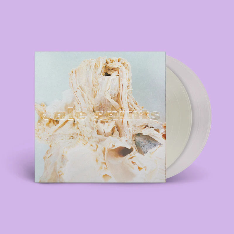 Pale Saints - In Ribbons (30th Anniversary) [2xLP - Unpigmented White]
