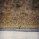 Jim O'Rourke - Hands That Bind [LP]