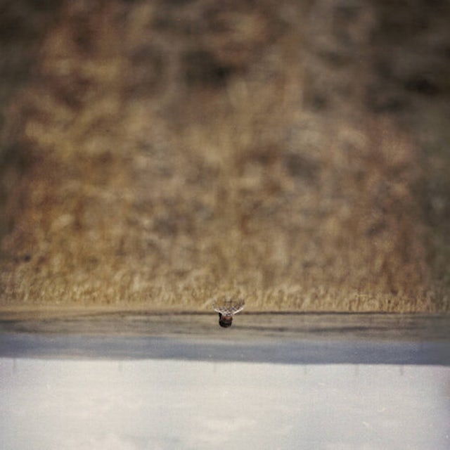 Jim O'Rourke - Hands That Bind [LP]