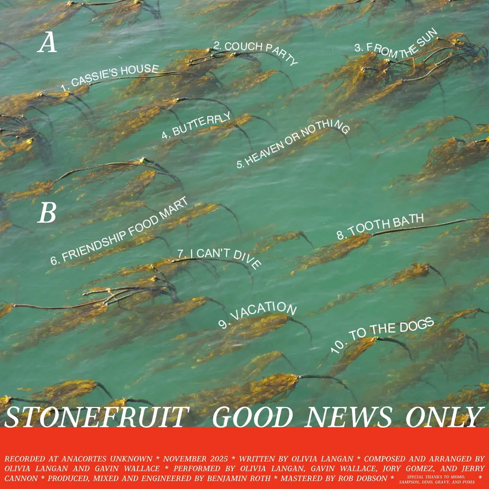 Stonefruit - Good News Only [LP]