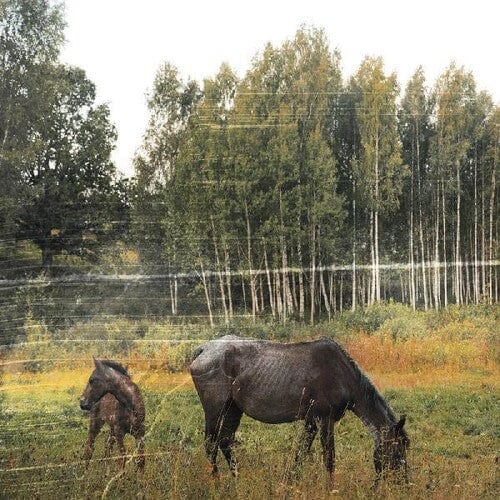 Pianos Become The Teeth - Old Pride [LP - Forest Green]