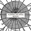 Planning For Burial/Midwife - Split [7"]