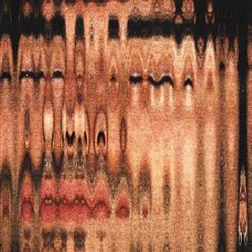 Depression Sonora - El Arte De Morir Muy Despacio [LP]