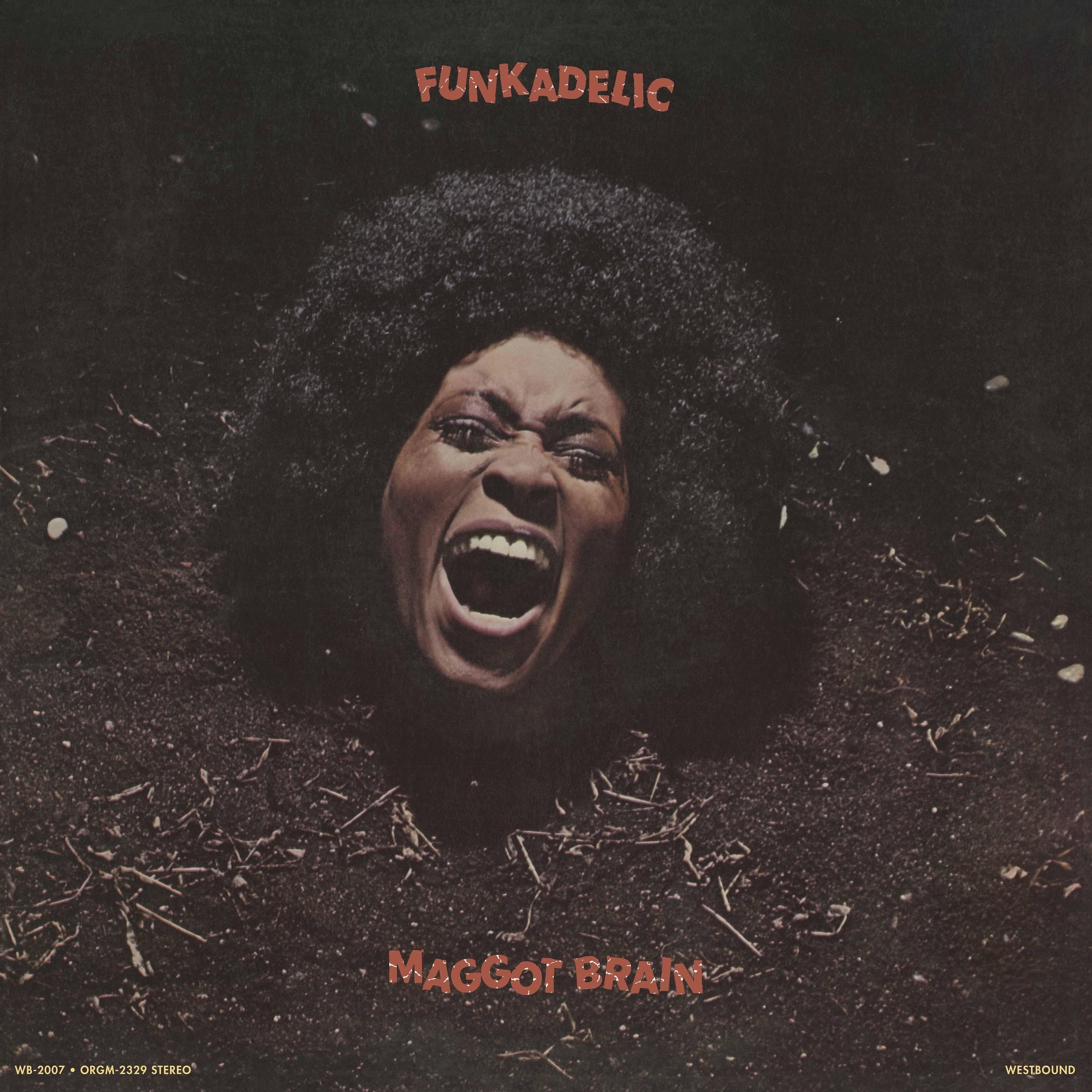 Funkadelic - Maggot Brain [LP]