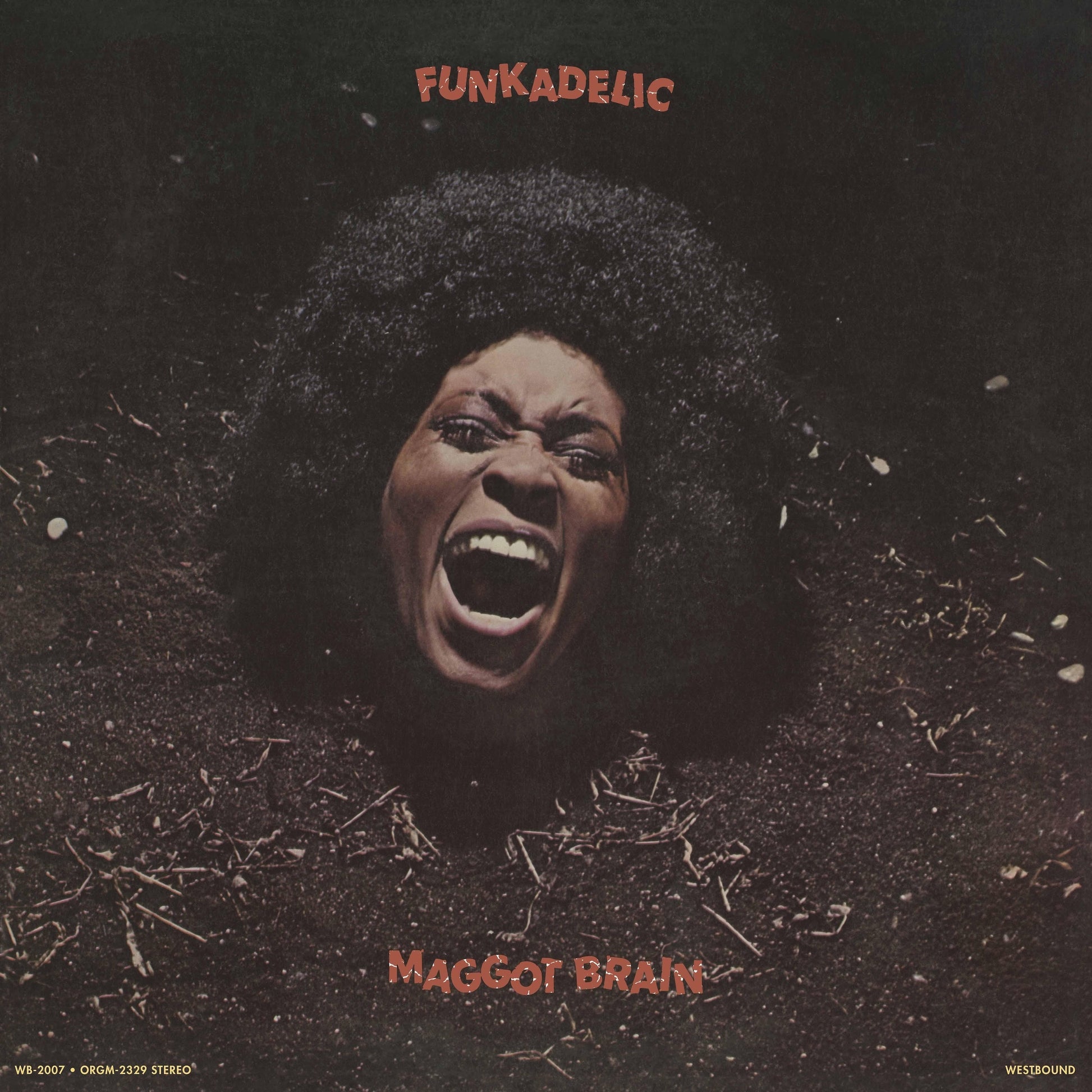 Funkadelic - Maggot Brain [LP]