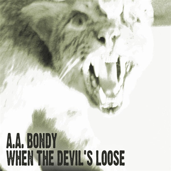 AA Bondy - When The Devil's Loose [LP]