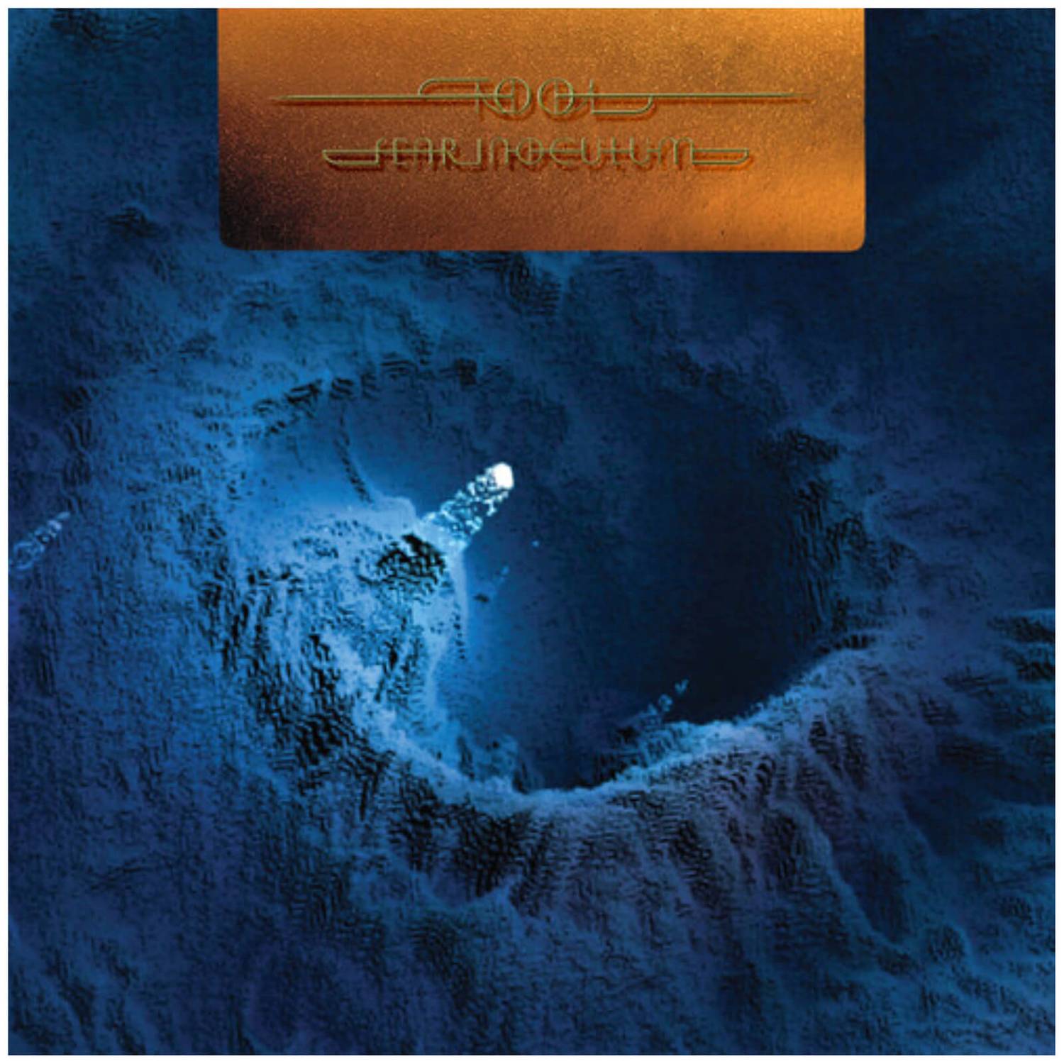Tool - Fear Inoculum [5xLP - Box Set]