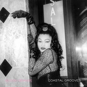 Blood Orange - Coastal Grooves [LP]