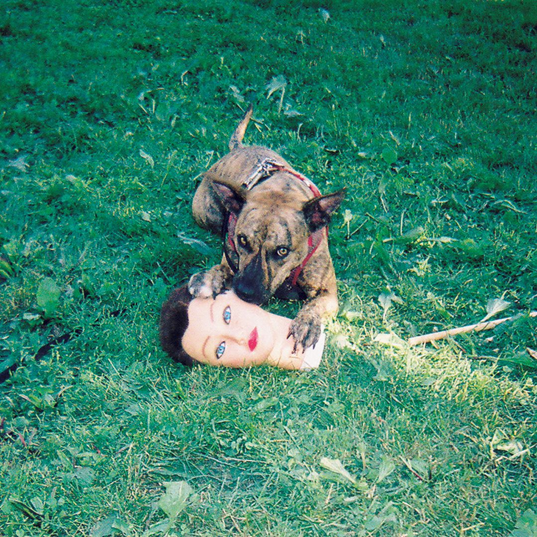 Joyce Manor - Cody [LP]