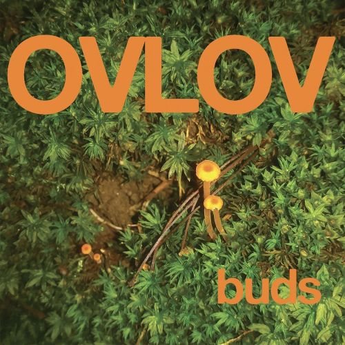 Ovlov - Buds [LP - Orange]