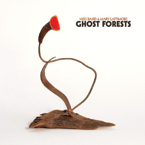 Meg Baird & Mary Lattimore - Ghost Forests [LP - Green]