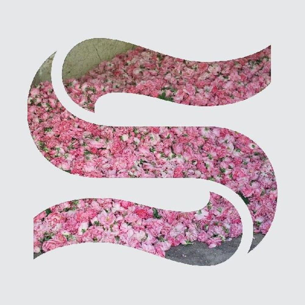 Braxe + Falcon - Step By Step [LP]