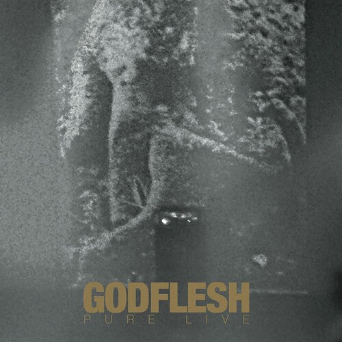 Godflesh - Pure Live [2xLP]