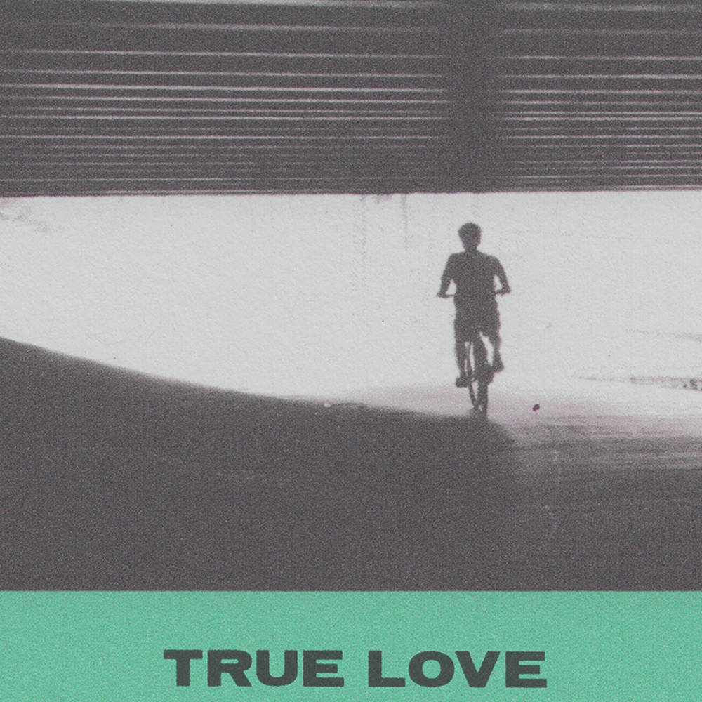 Hovvdy - True Love [LP - Hot Pink]