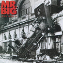 Mr. Big - Lean Into It [LP]