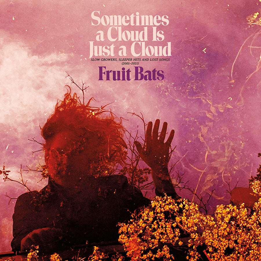 Fruits Bats - Sometimes A Cloud Is Just A Cloud [2xLP - Pink & Violet Swirl]
