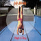 Def Leppard - High 'n' Dry [LP - Picture Disc]