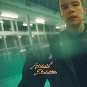Rex Orange County - Apricot Princess (5th Anniversary) [LP]