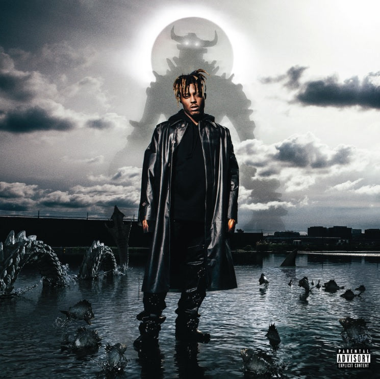 Juice WRLD - Fighting Demons [2xLP]