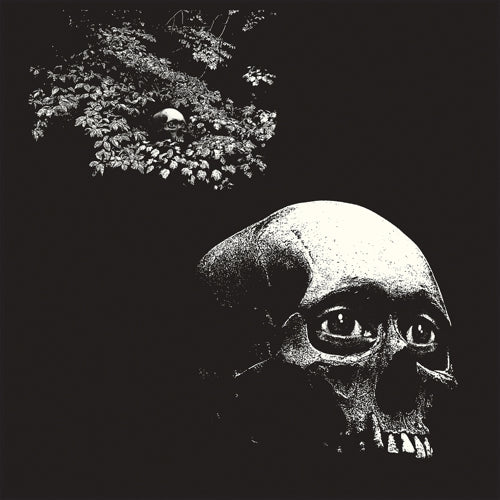 O Sees - A Foul Form [LP - Color]