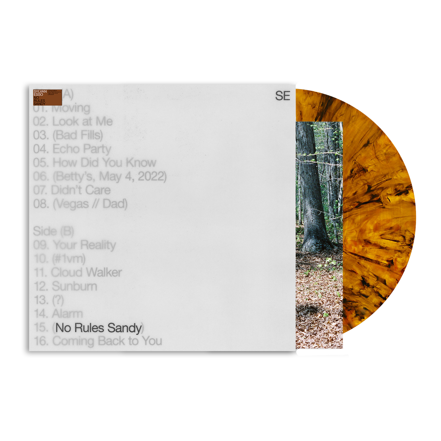 Sylvan Esso - No Rules Sandy [LP - Tiger's Eye]