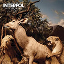 Interpol - Our Love To Admire [2xLP]