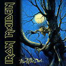 Iron Maiden - Fear Of The Dark [2xLP]