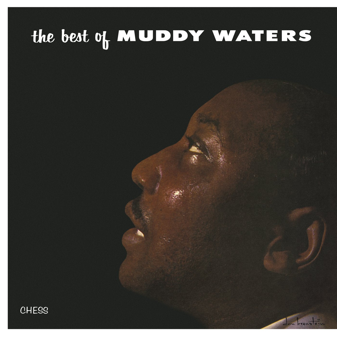 Muddy Waters - The Best Of [LP]