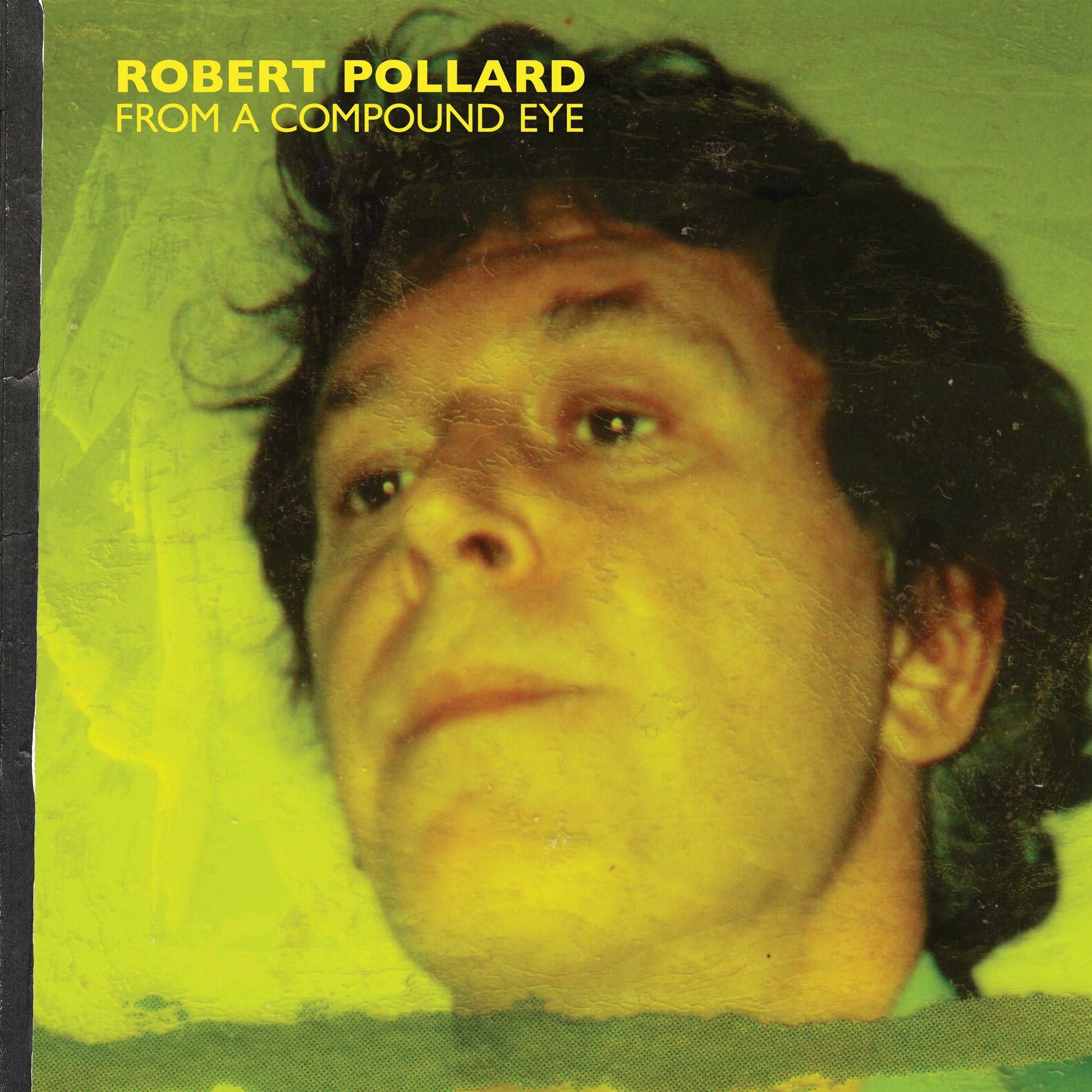 Robert Pollard - From A Compound Eye [2xLP]