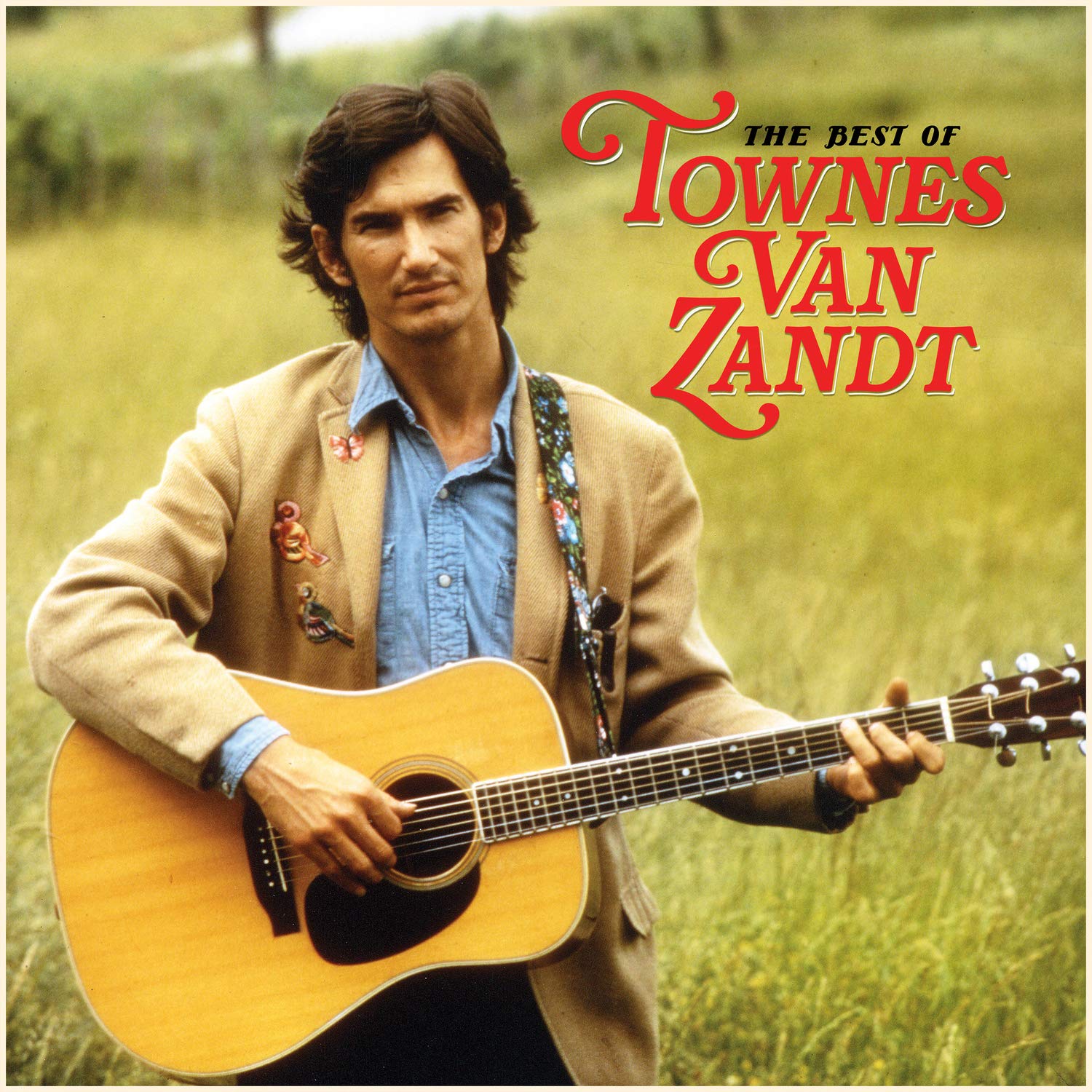 Townes Van Zandt - The Best Of Townes Van Zandt [2xLP]