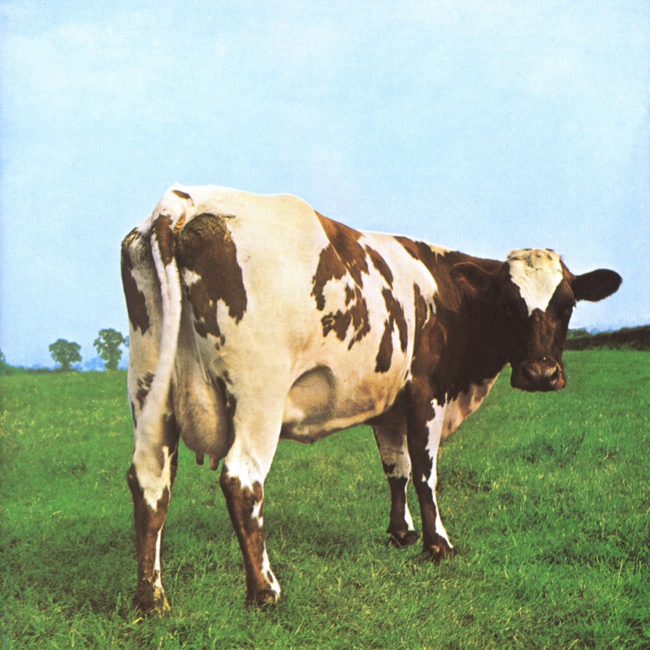 Pink Floyd - Atom Heart Mother [LP]