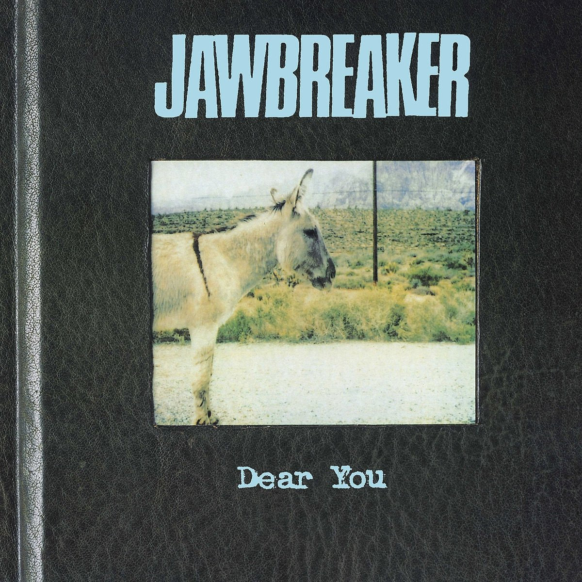 Jawbreaker - Dear You [LP]