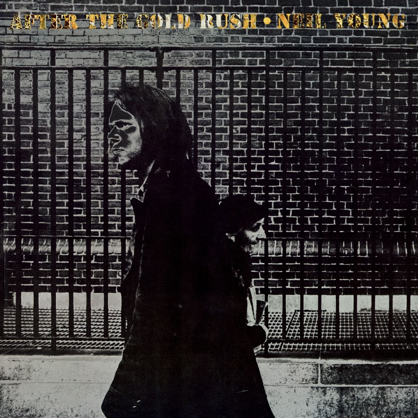 Neil Young - After The Gold Rush [LP]