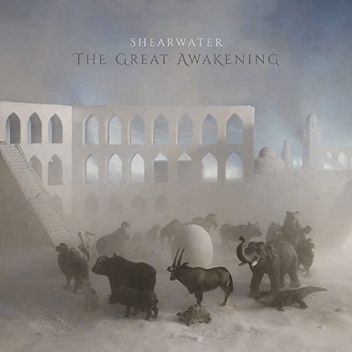 Shearwater - The Great Awakening [2xLP]