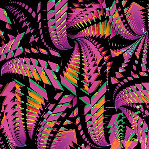 Bitchin Bajas - Bajascillators [2xLP]