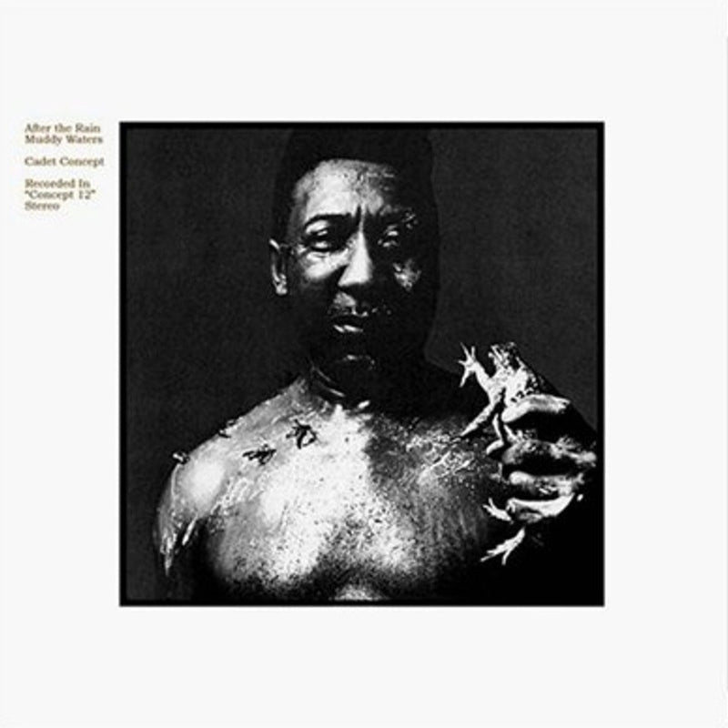Muddy Waters - After The Rain [LP]